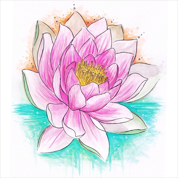 Lotus Flower Outline Drawing at Explore collection