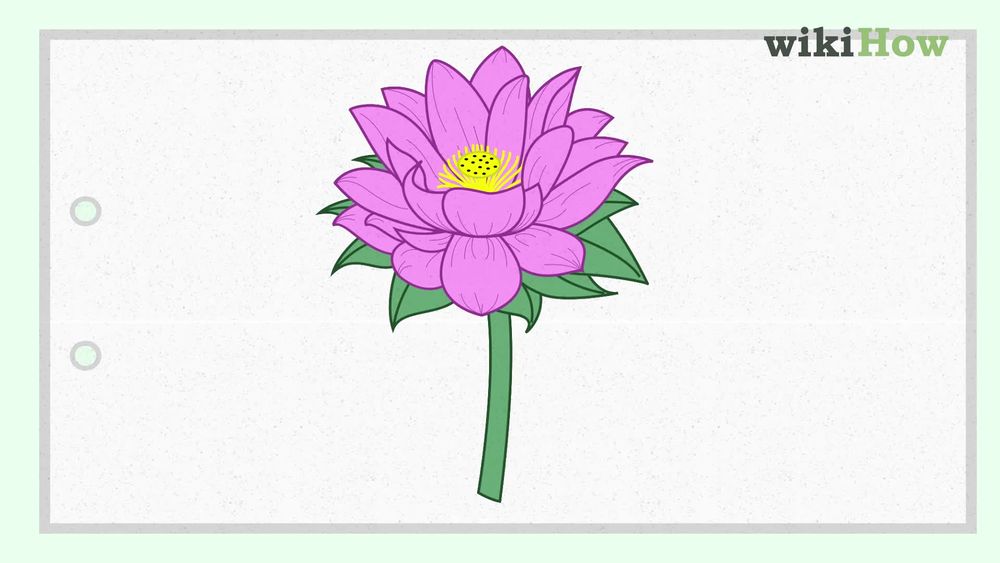 1000x563 How To Draw A Lotus Flower Steps - Lotus Flower Drawing Images