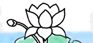 300x140 How To Draw A Lotus Flower On A Computer Drawing Illustration - Lotus Flower Drawing Images