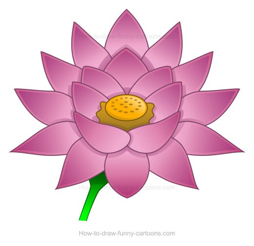 520x504 How To Create A Lotus Flower Drawing - Lotus Flower Drawing Images