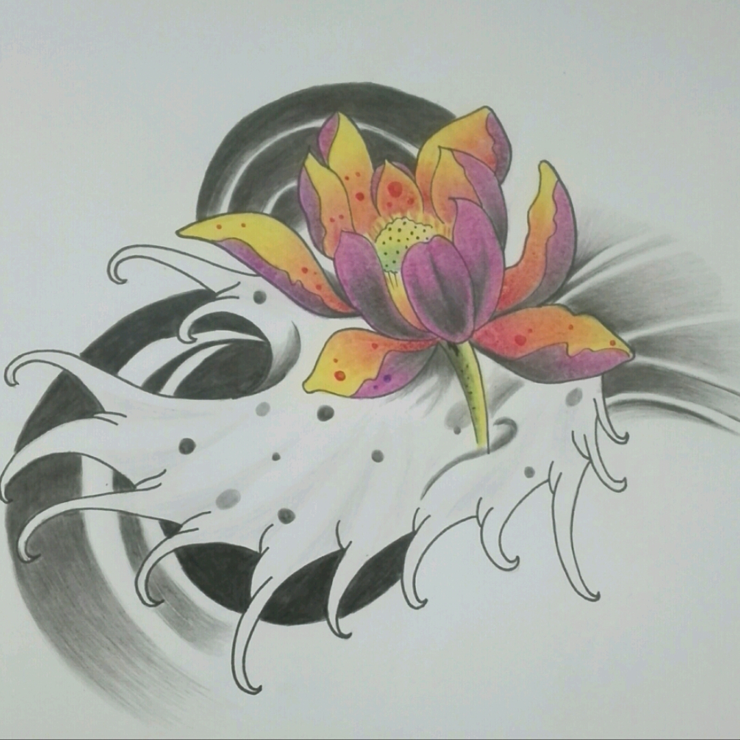 1080x1080 Lotus Flower Drawing - Lotus Flower Drawing Images