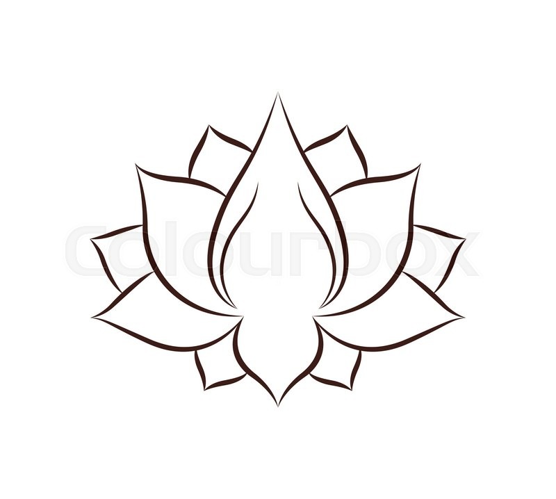 800x718 Lotus Flower Drawing Isolated Icon Stock Vector Colourbox - Lotus Flower Drawing Images