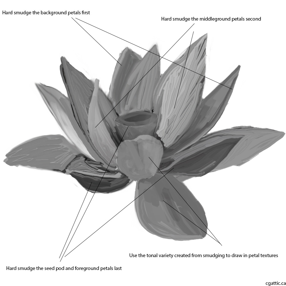 1000x1000 Realistic Lotus Flower Drawing In Steps With Photoshop - Lotus Flower Drawing Images