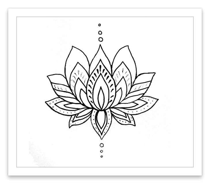 736x644 Easy Ways To Draw Lotus Flower - Lotus Flower Drawing Step By Step