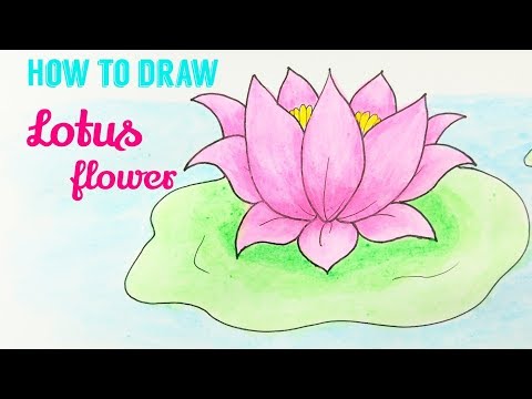 480x360 How To Draw Lotus Lotus Flower Easy Step - Lotus Flower Drawing Step By Step