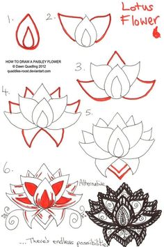 236x354 How To Draw Lotus Flower Step - Lotus Flower Drawing Step By Step