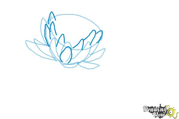 600x400 How To Draw A Lotus Flower, Water Lily - Lotus Flower Drawing Step By Step