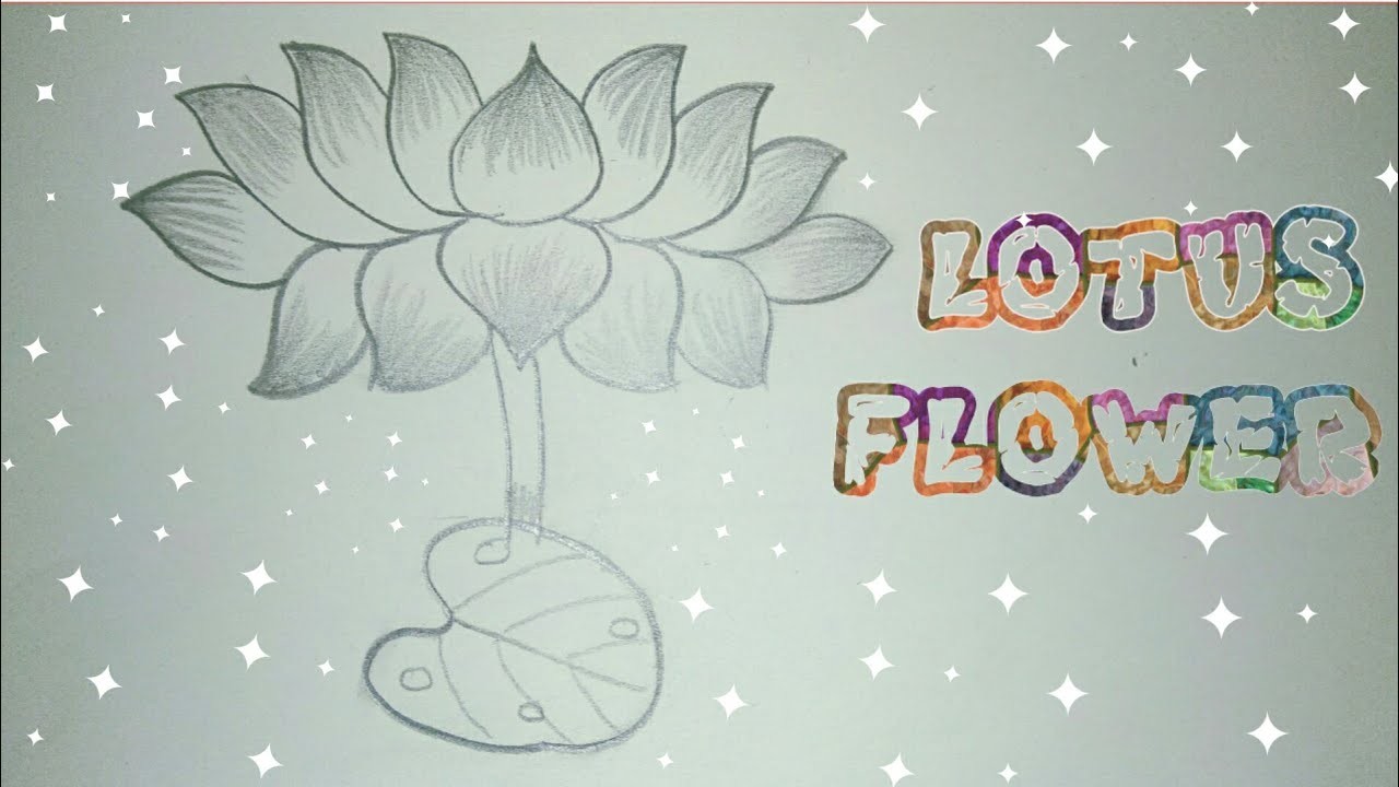 1280x720 How To Draw A Lotus Flower Step - Lotus Flower Drawing Step By Step