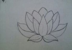 300x210 simple drawing of lotus flower how to draw lotus flower step - Lotus Flower Drawing Step By Step