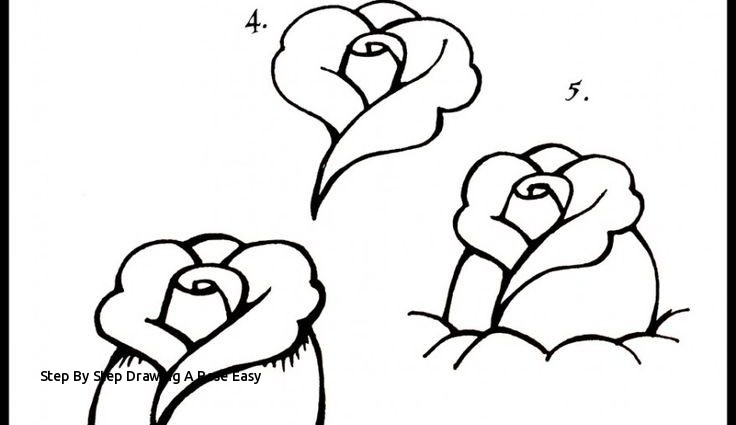 736x425 Step - Lotus Flower Drawing Step By Step