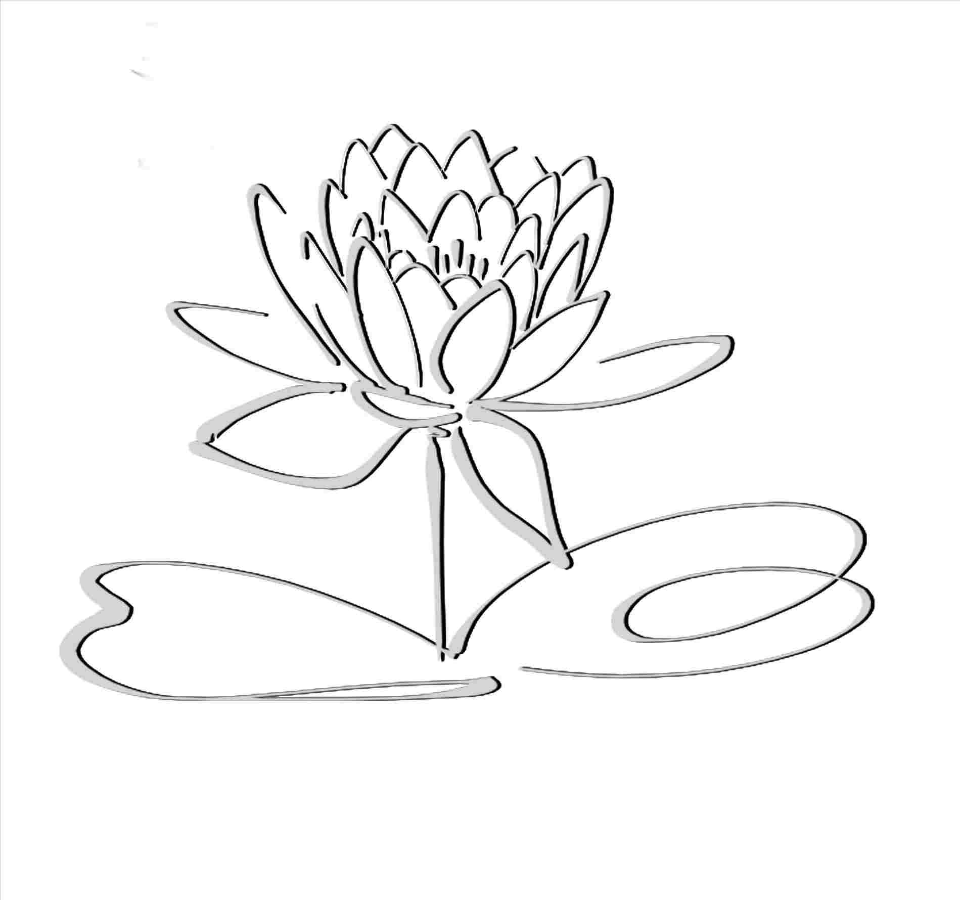 1899x1780 Lotus Simple Lotus Flower Drawing Clipart Easy Draw For Free - Lotus Flower Drawing Step By Step