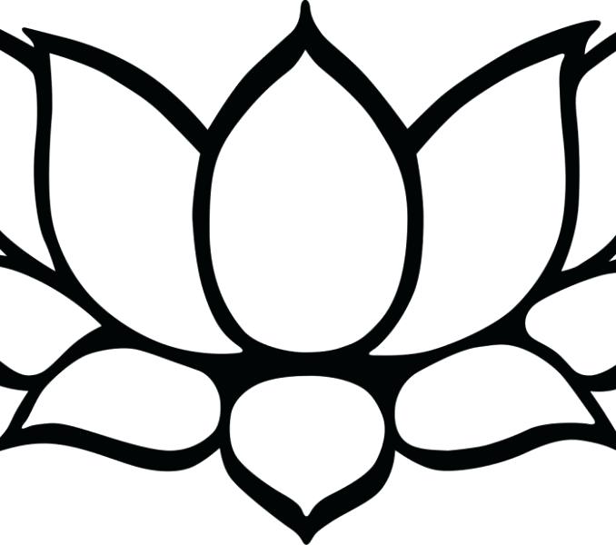 678x600 Lotus Flower Drawing Nemurenai Beautiful Folwer - Lotus Flower Drawing Step By Step