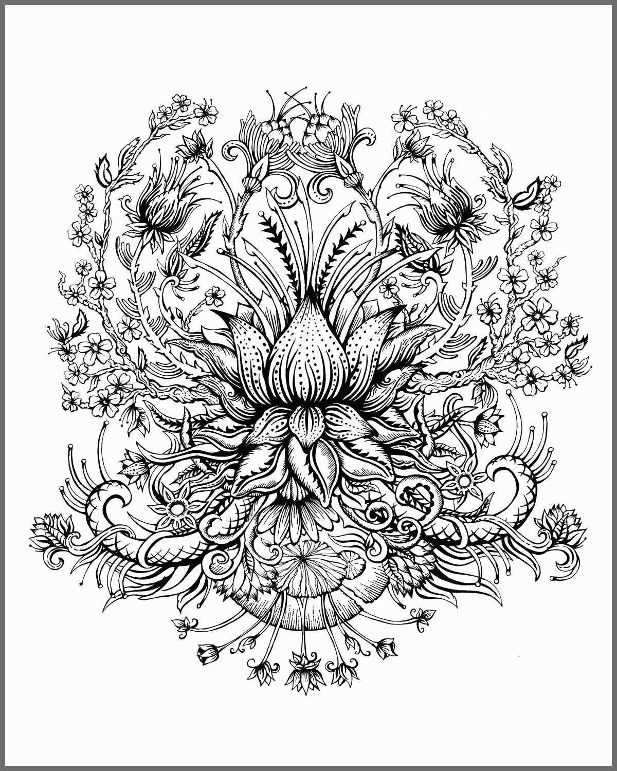 1200x1500 Flower Sketch Art Marvelous Girl O Face Tumblr Xxgasm Best Image - Lotus Flower Drawing Tumblr