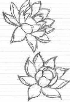 Lotus Flower Drawing Tumblr At Paintingvalley Com Explore