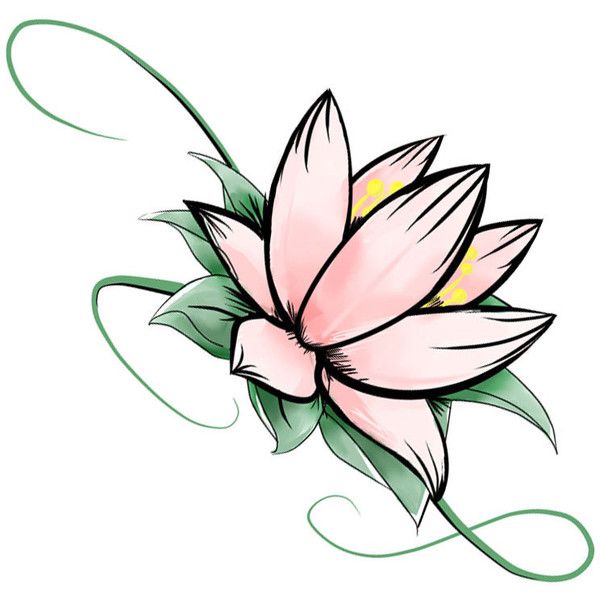600x600 lotus flower drawing tumblr liked on polyvore featuring home - Lotus Flower Drawing Tumblr