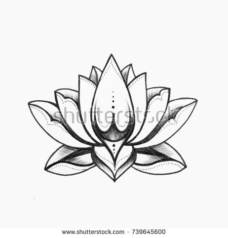 450x470 Lotus Flower Sketch Tumblr Drawing Drawings For Tattoos - Lotus Flower Drawing Tumblr