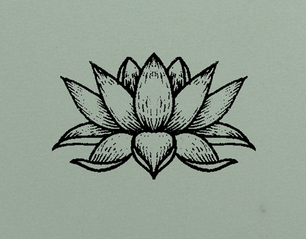 600x469 Pictures Of Lotus Flower Drawing Tumblr - Lotus Flower Drawing Tumblr