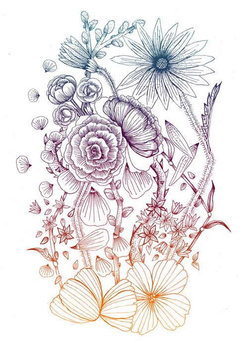 Lotus Flower Drawing Tumblr At Paintingvalley Com Explore