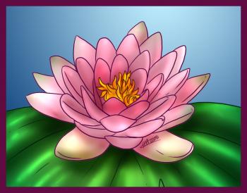 350x274 How To Draw A Lotus, Water Lily, Step - Lotus Flower In Water Drawing