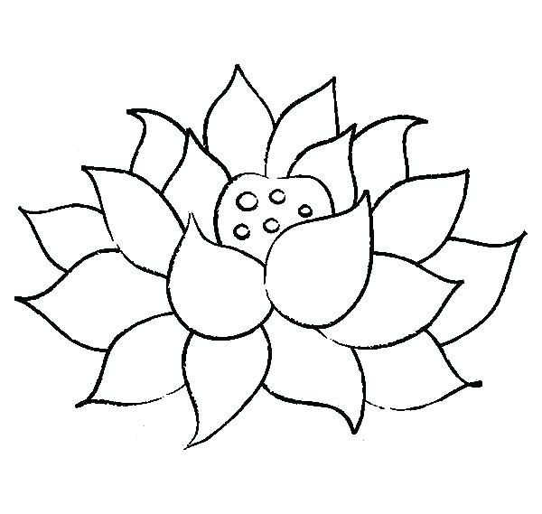 600x569 Lotus Flower Coloring - Lotus Flower In Water Drawing