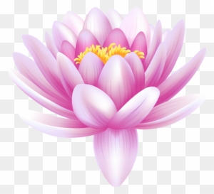 300x273 Lotus Flower On Water Drawing - Lotus Flower In Water Drawing