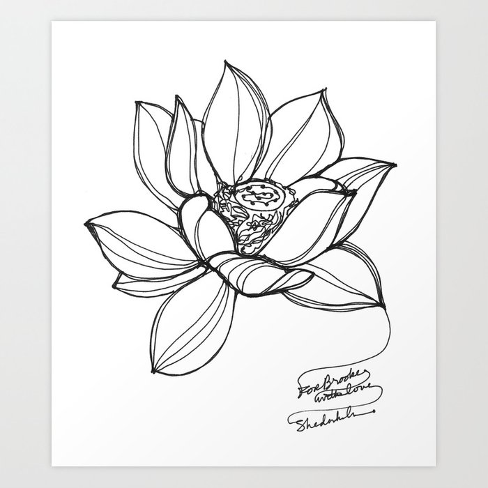 700x700 Lotus Flower - Lotus Flower Line Drawing