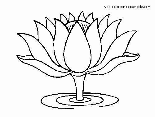 500x376 Lotus Flower Coloring Pages Fresh Lotus Flower Coloring Pages New - Lotus Flower Line Drawing