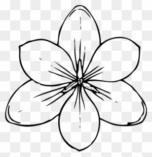 300x309 Lotus Flower Drawing Decoration - Lotus Flower Line Drawing