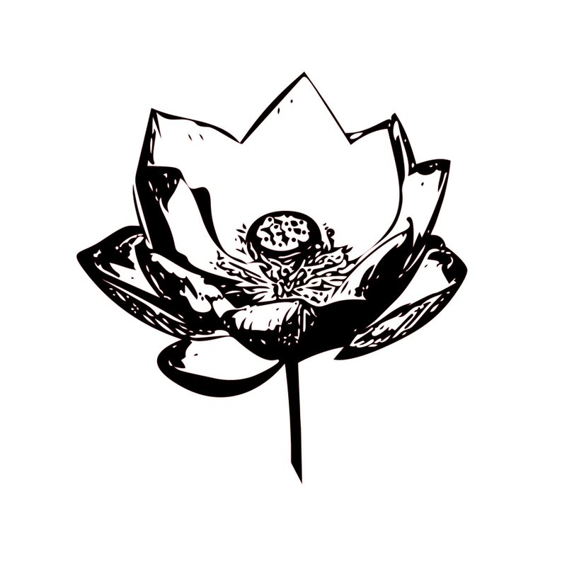 794x794 Lotus Flower Line Drawing Dsx For Silhouette Or Etsy - Lotus Flower Line Drawing