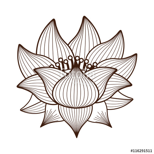 500x500 Lotus Flower Drawing Isolated Icon Design, Vector Illustration - Lotus Flower Line Drawing