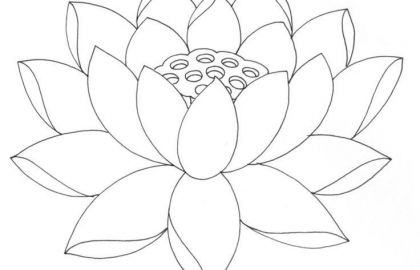 420x270 Lotus Coloring Pages And Lotus Flower Drawing Outline - Lotus Flower Line Drawing