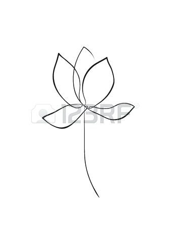 337x450 Beautiful Lotus Flower Drawing Or Drawing Sacred Lotus Flower - Lotus Flower Line Drawing