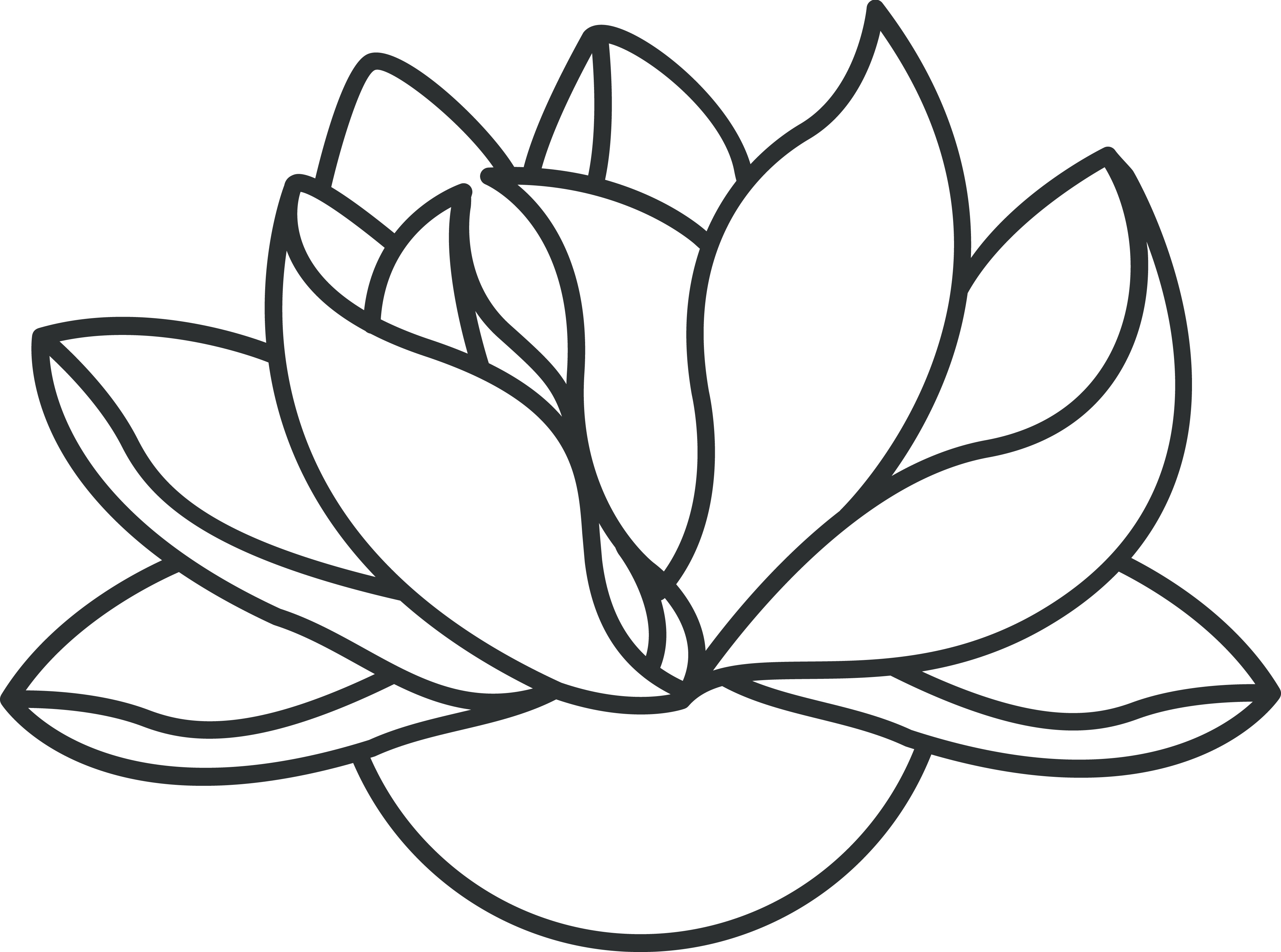 Lotus Flower Outline Drawing