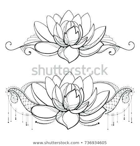 450x470 Free Lotus Flower Line Drawing Download Free Clip Art Free Clip - Lotus Flower Outline Drawing