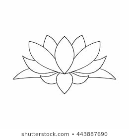 260x280 Huge Collection Of 'lotus Flower Drawing' Download More Than - Lotus Flower Outline Drawing