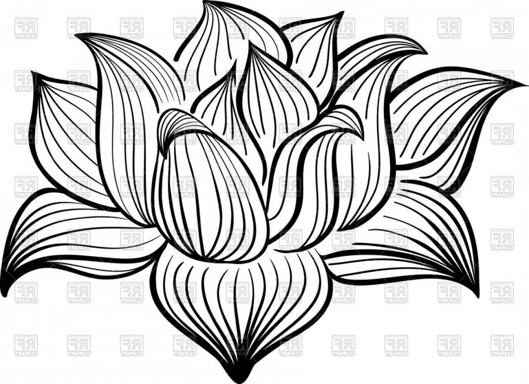 1728x1254 Huge Collection Of 'lotus Flower Drawing Outline' Download More - Lotus Flower Outline Drawing