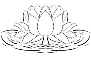 300x210 Lotus Flower Drawing Outline - Lotus Flower Outline Drawing