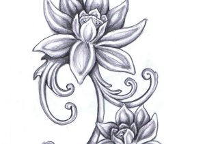 300x210 lotus flower drawings for tattoos lotus pencil drawings lotus - Lotus Flower Pencil Drawing