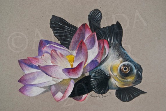 570x382 Original Colored Pencil Drawing On Toned Paper Goldfish And Etsy - Lotus Flower Pencil Drawing