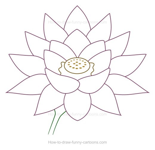 520x504 Draw A Lotus Flower Pencil Drawing Drawings For Tattoos - Lotus Flower Pencil Drawing