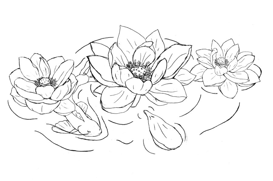 900x597 Black Outline Lotus Flowers Tattoo Design - Lotus Flower Tattoo Drawing