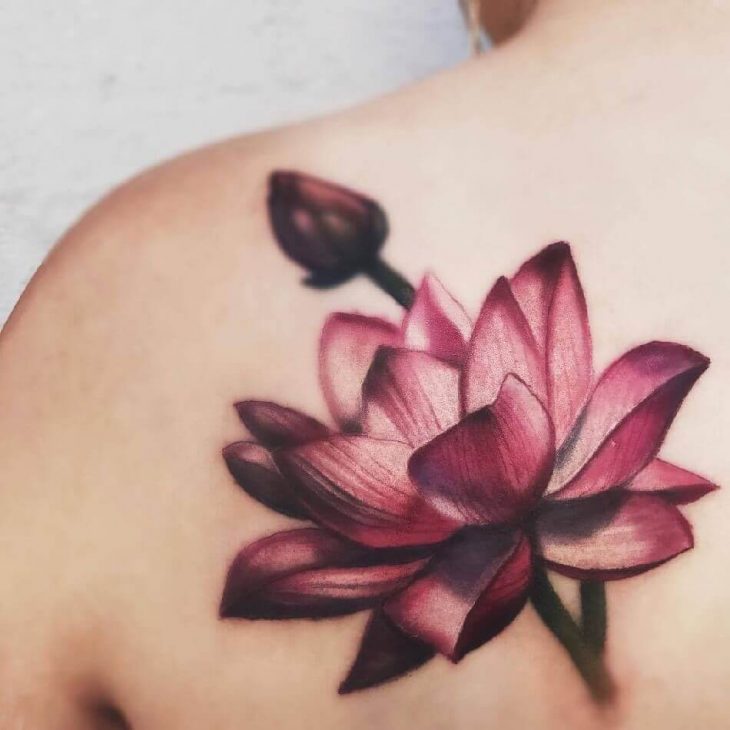 730x730 Lotus Flower Tattoo - Lotus Flower Tattoo Drawing