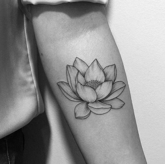 661x656 Best Lotus Flower Tattoos For Men - Lotus Flower Tattoo Drawing