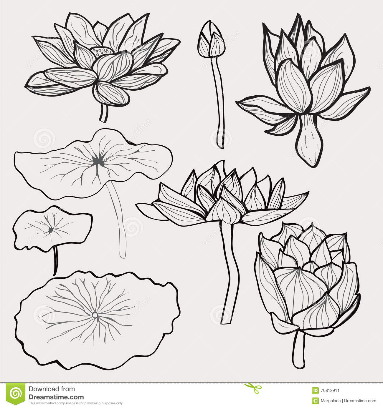 Lotus Leaf Drawing Plant Drawing(Pencil) Leaf 04 Lotus