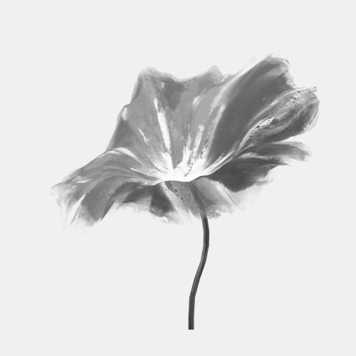 500x500 Ink Material Lotus Leaf Three Dimensional Model - Lotus Leaf Drawing