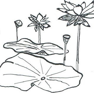 Lotus Leaf Drawing at PaintingValley.com | Explore collection of Lotus ...