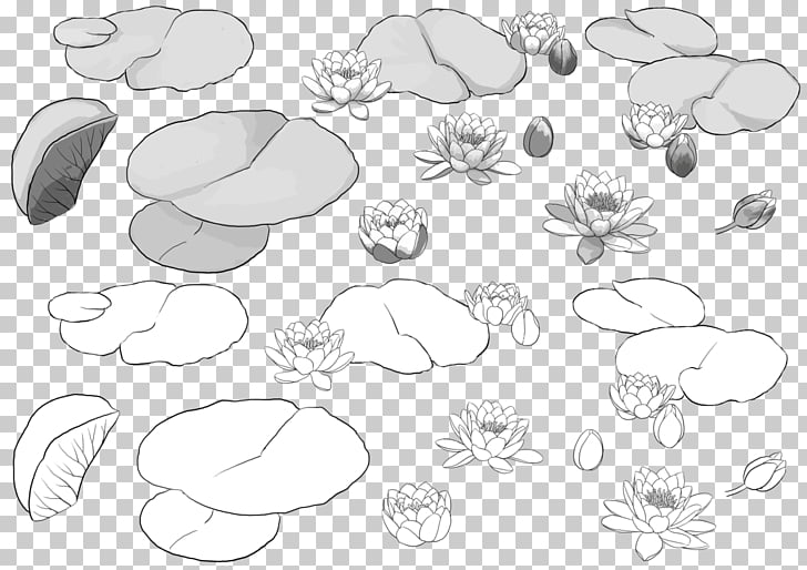 728x514 Petal Nelumbo Nucifera Leaf Sketch, Hand Painted Lotus Png Clipart - Lotus Leaf Drawing