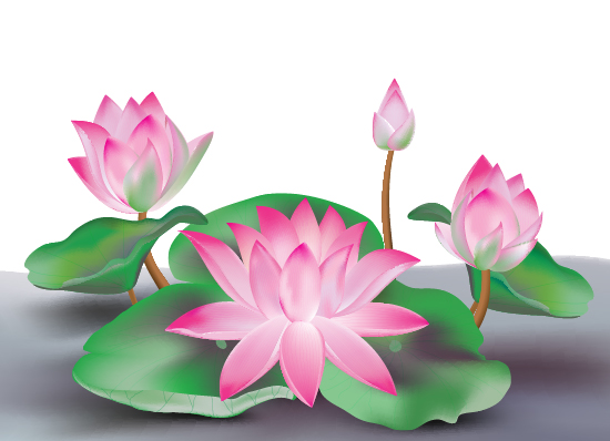 550x398 Create A Lotus Flower With Adobe Illustrator - Lotus Leaf Drawing