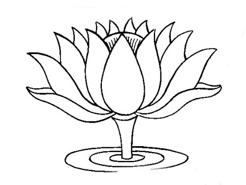 500x376 Drawn Lotus Line - Lotus Line Drawing
