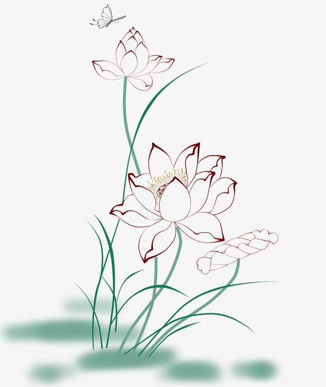 650x772 Lotus, Lotus Clipart, Line Drawing, Glass Painting Png Image - Lotus Line Drawing